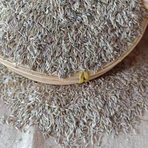 เมล็ดเรพซีดสีขาว เมล็ดถั่วเหลือง อาหารสัตว์ ผงแห้ง โปรตีนสูง ปลา สุกร โค ม้า <span class=keywords><strong>ข้าวโพด</strong></span> ข้าวสาร <span class=keywords><strong>ข้าวโพด</strong></span>เหลือง - Product Image 3