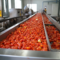 Kleine tomatenpureemachine, machine voor het maken van tomatensaus, chilipeper-gemberpasta, fruitjamverwerkingsmachine, inclusief zakjesvulling.