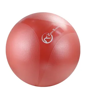 Zhensheng 2024 nuovo design di promozione del marchio home gym fitness yoga palla exrecise palla swiss ball con 9 "pompa