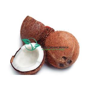 Polvo instantáneo de <span class=keywords><strong>caña</strong></span> de azúcar, para bebidas - Product Image 3