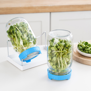 Set <span class=keywords><strong>di</strong></span> 2 vasetti <span class=keywords><strong>di</strong></span> <span class=keywords><strong>vetro</strong></span> a bocca larga da litro in plastica con Design speciale Set <span class=keywords><strong>di</strong></span> Sprouter per Broccoli <span class=keywords><strong>di</strong></span> fagioli Mung cibo cucina usa omaggi - Product Image 4