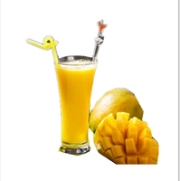 Fabrieksaanbieding Automatische Plc Controle Mango Pulp Verwerkingsmachine Sap Drank Productielijn
