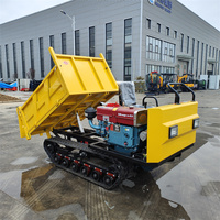 Mini 2-Tonnen Raupendumper mit Benzinmotor, Kleiner Kettendumper Speziell für die Palmfruchternte Entwickelt
