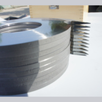 Outil de coupe du bois de précision de haute qualité Pioneer 2T, outil de menuiserie, coupe-joint de doigt