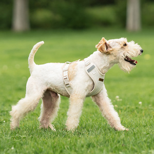 Персонализированный кожаный поводок - Product Image 4