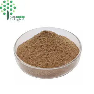 Травяная добавка сыпучий порошок в капсулах <span class=keywords><strong>Bacopa</strong></span> <span class=keywords><strong>monnieri</strong></span> экстракт порошок <span class=keywords><strong>Bacopa</strong></span> bacosides 50% - Product Image 5