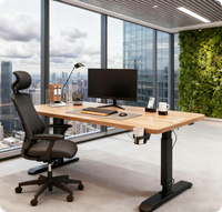 Vente en gros OEM ODM Table debout d'ordinateur à moteur unique Support de bureau motorisé ergonomique intelligent électrique à hauteur réglable