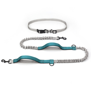 Doppio Manico Elastico Bungees Corda Retrattile Hands Free Cane Che Corre Al Guinzaglio con Cintura In Vita Regolabile - Product Image 4
