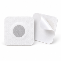 Patch Minceur Magnétique OEM pour Nombril, Marque Privée, à Base de Plantes, pour Perte de Poids, Brûle-Graisse Abdominale, Hydratant, Autocollant pour Points d'Acupuncture Corporels
