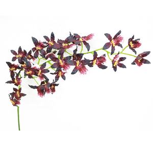 Décoration d'intérieur, tige d'orchidée artificielle <span class=keywords><strong>Vanda</strong></span> à toucher réel, 69 cm de long, vente en gros - Product Image 3