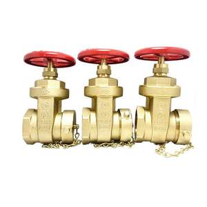 Robinet d'arrêt d'incendie en laiton robuste Heguang F2.5" NPT, <span class=keywords><strong>vert</strong></span>, avec couvercle anti-incendie, facile à utiliser - Product Image 3