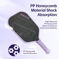 Hochwertiges Graphit-Pickleball-Schläger-Set für Senioren mit thermogeformter und texturierter Oberfläche, inklusive Pickleball-Starter-Set