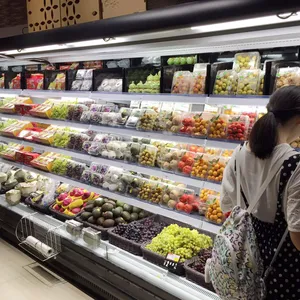 Kommerzieller Kühlschrank als Supermarkt-Kühlgeräte Obst und Gemüse Display Kühlschrank