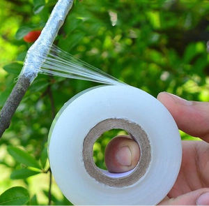 DD2620 ruban de film de greffage enveloppé auto-adhésif de réparation transparente extensible pour les plantes - Product Image 1