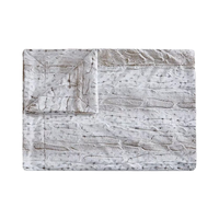 Plaid en fausse fourrure léopard et guépard, luxueux, écologique, doux et moelleux, pour canapé et lit, utilisable toute l'année