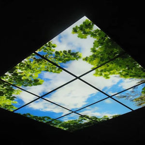 Panel de Luz LED Empotrable para Techo, Simulación de Cielo Virtual Inteligente Lumin, Control Remoto con Atenuación por Aplicación, Cielo Azul - Product Image 1