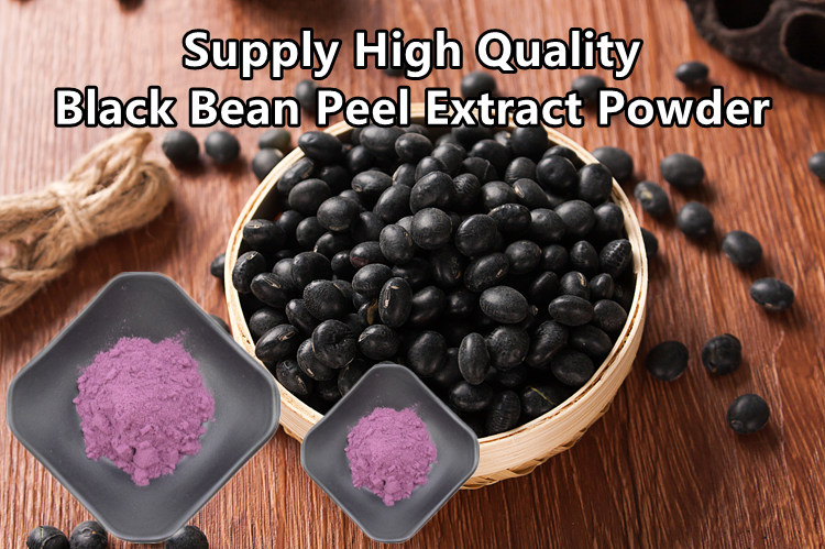 Organic 25% Anthocyanins Powder Natural Black Bean Peel Extract Powder 0