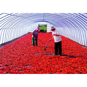 [Biggalchan 130g] Épice authentique YeongYang pour la cuisine traditionnelle, assaisonnement coréen épicé, poudre de piment - Product Image 1