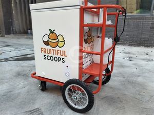 Stand de crème glacée Street Mobile standard européen Chariot de crème glacée avec congélateur - Product Image 5