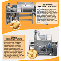 Ligne de production automatique TCA 3000 kg/h avec pelage à la vapeur, blanchiment en spirale, frites surgelées semi-frites