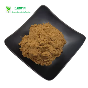 Melhor Preço Natural Bladderwrack Extrato Vesiculosus Extrato Em Pó Fucoidan Fucus - Product Image 3