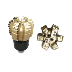 Oil Bit/PDC Petroleum Drill Bit