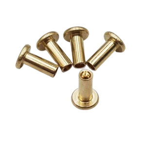 Remaches Semitubulares de Latón de Varias Formas al por Mayor: Remaches Tubulares Huecos de <span class=keywords><strong>Cabeza</strong></span> Redonda y <span class=keywords><strong>Cabeza</strong></span> <span class=keywords><strong>Plana</strong></span> - Product Image 1