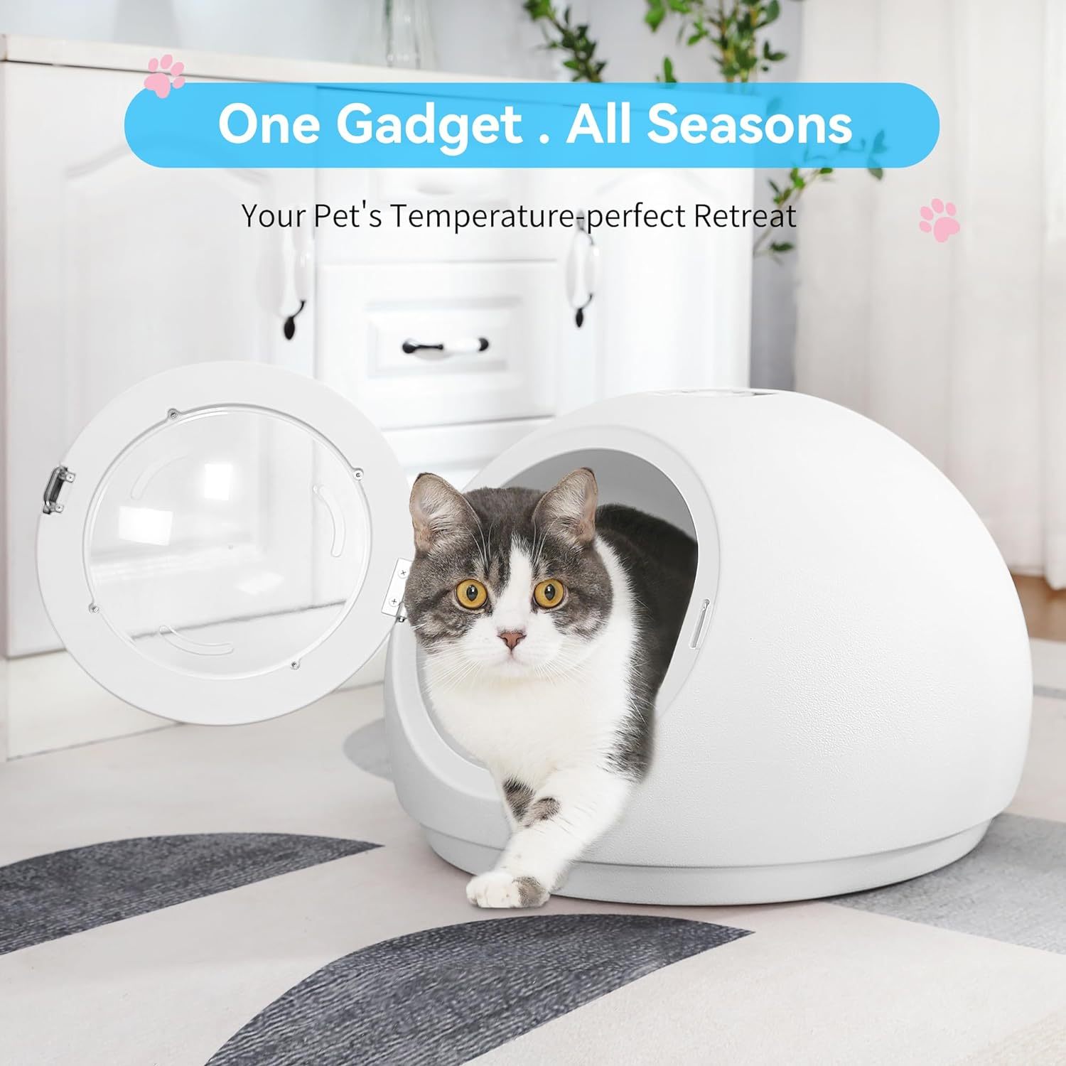 Automatic Pet Dryer Box 55L - Adjustable Temperature & Time, For Cats & Small Dogs