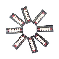 Dents en résine acrylique de qualité OEM, dents en composite acrylique, dents en résine composite avec 16 couleurs