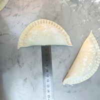 Machine automatique de fabrication de grands raviolis, empanadas, samosas, tourtes à la viande et de dumplings à vendre