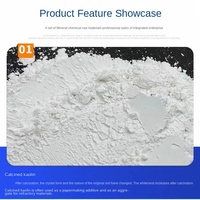 Kaolin calciné en poudre pour céramiques, haute réfractarité, kaolin lavé pour revêtements de papier, marque JINSHI, Shijiazhuang, Hebei