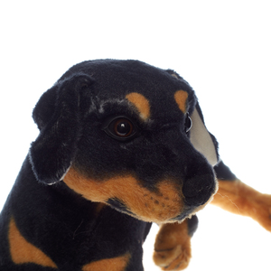 Peluche <span class=keywords><strong>chien</strong></span> en peluche douce et mignonne pour bébé en gros - Product Image 4