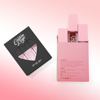 Kit de gloss à lèvres brillant végétalien avec huile aromatisée, marque privée, repulpant, hydratant, pailleté rose, huile à lèvres changeante de couleur