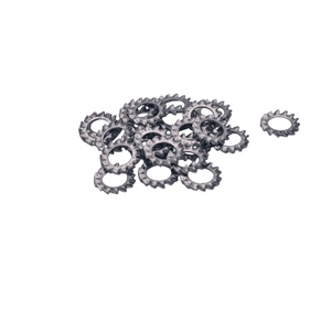 แหวนล็อคฟันนอกแบบสแตนเลส 304 - ป้องกันการหลวมแบบปรับแต่งได้ - Product Image 1