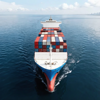 Entreprise de logistique de transport maritime international porte-à-porte, agent maritime vers les Émirats arabes unis, expédition DDP vers Dubaï, États-Unis, Canada