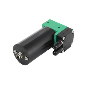 Pompe à diaphragme <span class=keywords><strong>de</strong></span> récupération compatible WDB-HMN0325 WD type 613 pour pièces <span class=keywords><strong>d</strong></span>'imprimante à jet <span class=keywords><strong>d</strong></span>'<span class=keywords><strong>encre</strong></span> VJ - Product Image 1