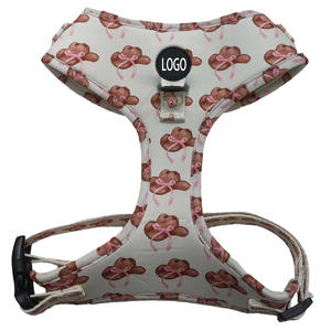 Arnés y Correas Personalizadas con Logotipo de Diseñador, Ajustables, para Perros Grandes y Pequeños, Venta al por Mayor - Product Image 3