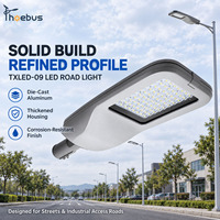Lampadaire LED ultra-lumineux fiable 3000-6500K, étanche IP66, pour projets d'éclairage routier municipal