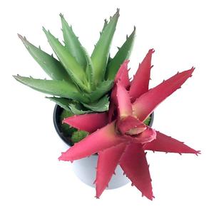 Piante Artificiali All'Ingrosso, Fiori Decorativi per Casa, Fornitori all'Ingrosso, <span class=keywords><strong>Bonsai</strong></span> Floreali Succulenti 2026, Economici <span class=keywords><strong>Online</strong></span> - Product Image 6