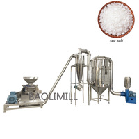 Industria alimentare masala peperoncino spice grinder polvere di zucchero zucchero a velo frantoio macchina