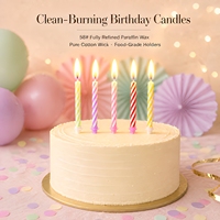 Lot de 24 bougies spirales pour gâteau d'anniversaire avec supports, diamètre 5,5 mm, en cire de paraffine, vente en gros d'usine pour le Nouvel An