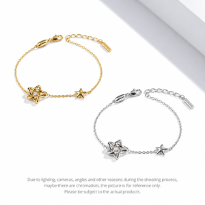 Star <b>Charm</b> <b>Bracelet</b>, Stainless Steel and Zirconia, 14K Gold Vacuum Plated, Gold and <b>Silver</b> Color Options - Product Image 1