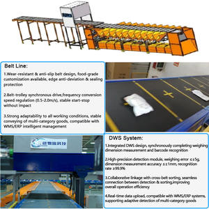 Logistiek magazijn pakket sorteerapparatuur lineair kruisband systeem met DWS-integratie - Product Image 2