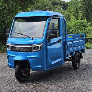 Entrepôt de Roumanie DDP EEC COC 3 roues <span class=keywords><strong>Cargo</strong></span> Bike Grand Space Trike Truck Tricycle électrique avec porte monobloc - Product Image 2