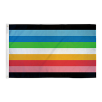 Drapeau Queer Pride Queerness LGBTQIA 3x5ft pas cher avec deux œillets