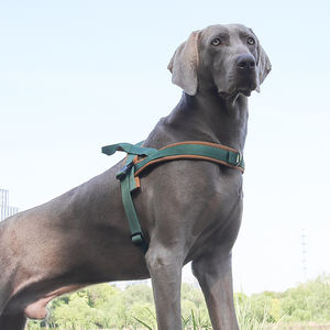 Arnés <span class=keywords><strong>para</strong></span> Perros al por Mayor, Reflectante, Personalizado, Antitirones, Acolchado Suave, con Mango de Control Fácil <span class=keywords><strong>para</strong></span> Entrenamiento, Ajustable <span class=keywords><strong>para</strong></span> <span class=keywords><strong>Galgos</strong></span> - Product Image 4