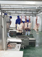 Ligne d'abattage complète pour moutons, équipement d'abattoir halal pour agneaux avec machine d'abattage pour chèvres