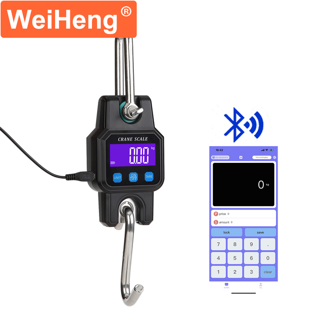 WeiHeng WH-C06 300KG USB Rechargeable  Digital Electronic Crane Scale