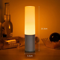 Décoration flexible de lumières de boîte de nuit LED sans fil portables avec des caractéristiques de fantaisie d'ambiance de charge de batterie