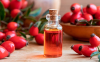 Huile de rose musquée biologique 100% pure naturelle pour le visage en vrac huiles de support de CO2 huile de rose musquée biologique pressée à froid du fournisseur